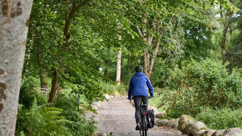 Woodlands Glencoe Activities Woodlands Glencoe Activities